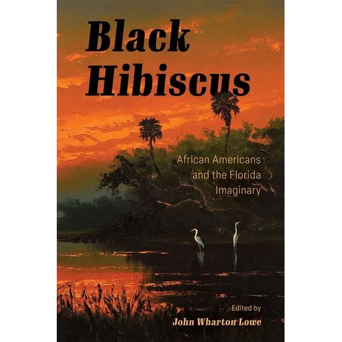 Black Hibiscus: African Americans and the Florida Imaginary - Hardcover