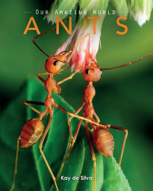 Ants: Amazing Pictures & Fun Facts on Animals in Nature - Paperback