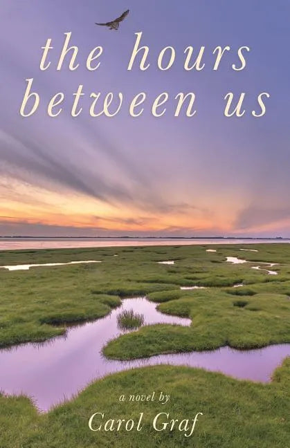 The Hours Between Us - Paperback