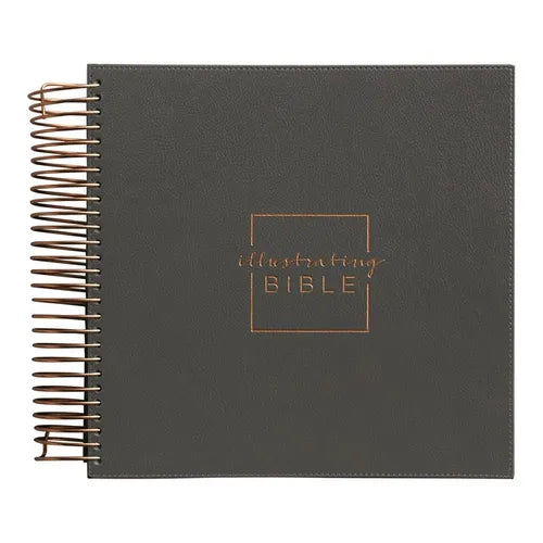 Illustrating Bible NIV Dark Grey - Spiral