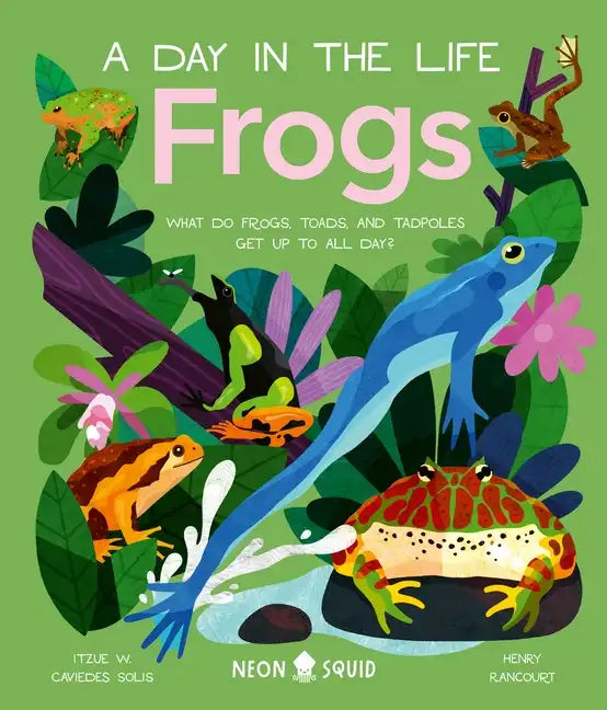 Frogs (a Day in the Life): What Do Frogs, Toads, and Tadpoles Get Up to All Day? - Hardcover