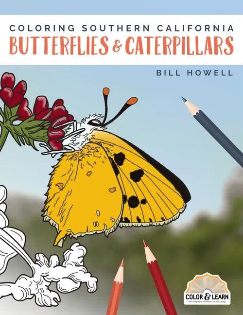 Coloring Southern California Butterflies and Caterpillars - Paperback