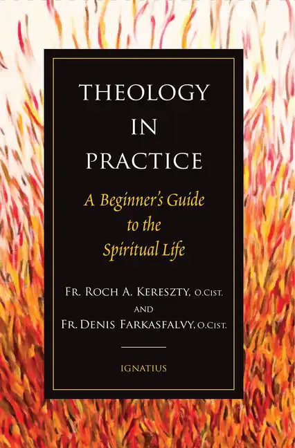Theology in Practice: A Beginner's Guide to the Spiritual Life - Paperback