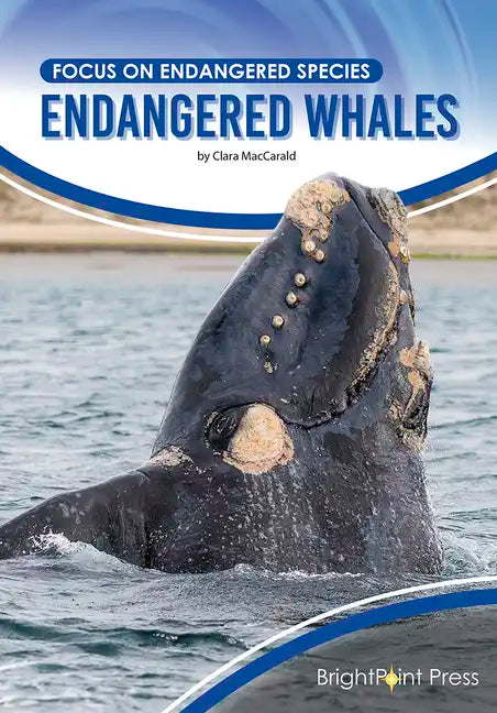 Endangered Whales - Hardcover