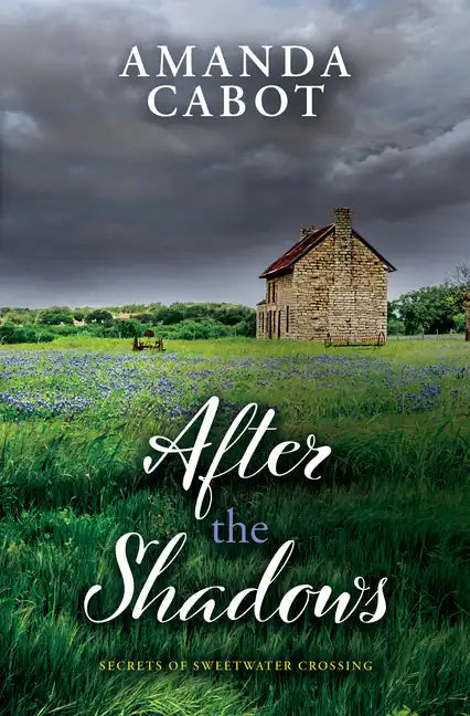 After the Shadows - Library Binding