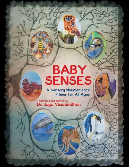 Baby Senses: A Sensory Neuroscience Primer for All Ages - Paperback