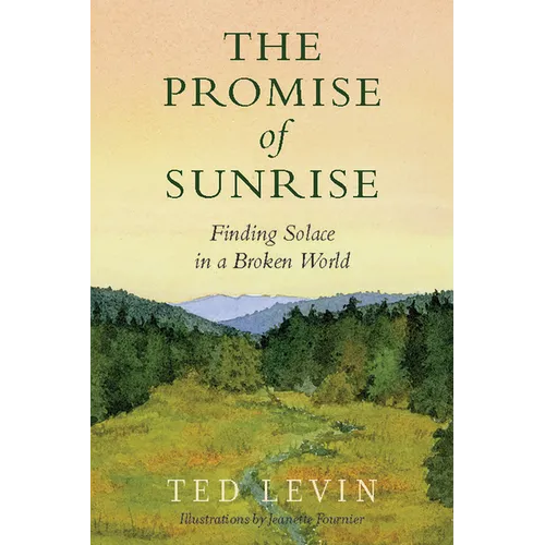 The Promise of Sunrise: Finding Solace in a Broken World - Paperback