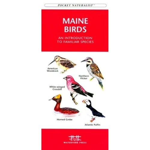 Maryland & DC Birds: A Folding Pocket Guide to Familiar Species