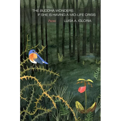 The Buddha Wonders if She is Having a Mid-life Crisis - Paperback