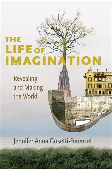 The Life of Imagination: Revealing and Making the World - Paperback