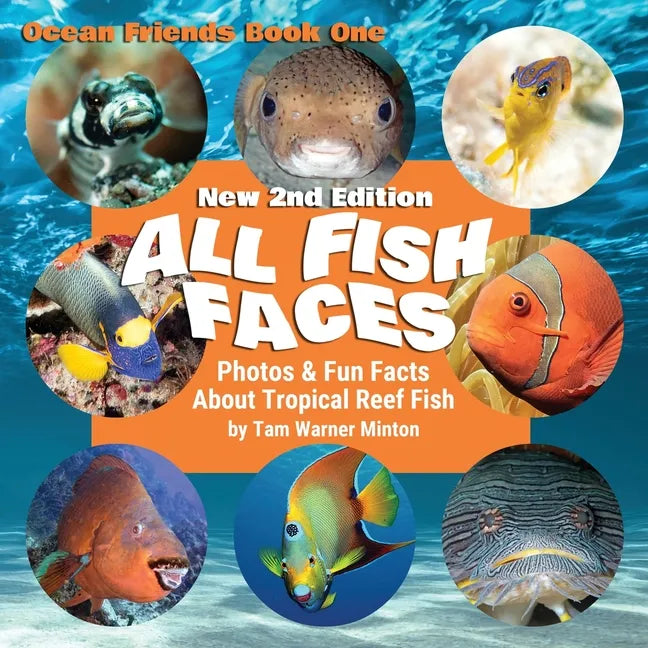 All Fish Faces: Photos and Fun Facts about Tropical Reef Fish - Paperback