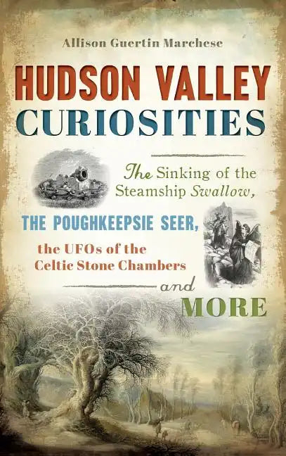 Hudson Valley Curiosities: The Sinking of the Steamship Swallow, the Poughkeepsie Seer, the UFOs of the Celtic Stone Chambers and More - Hardcover