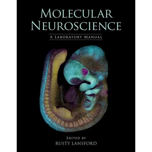 Molecular Neuroscience: A Laboratory Manual - Paperback