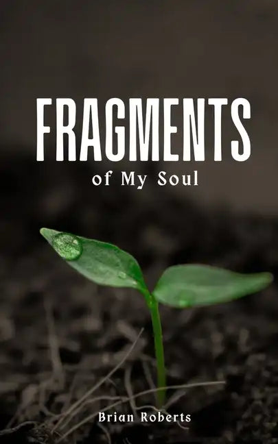 Fragments of My Soul - Paperback