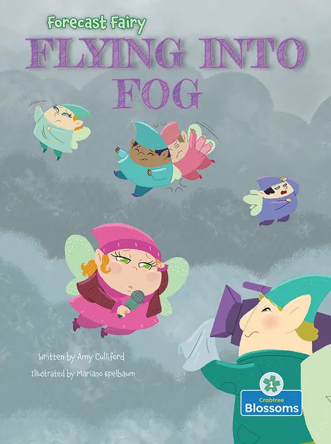 Flying Into Fog - Library Binding