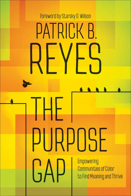The Purpose Gap: Empowering Communities of Color to Find Meaning and Thrive - Paperback