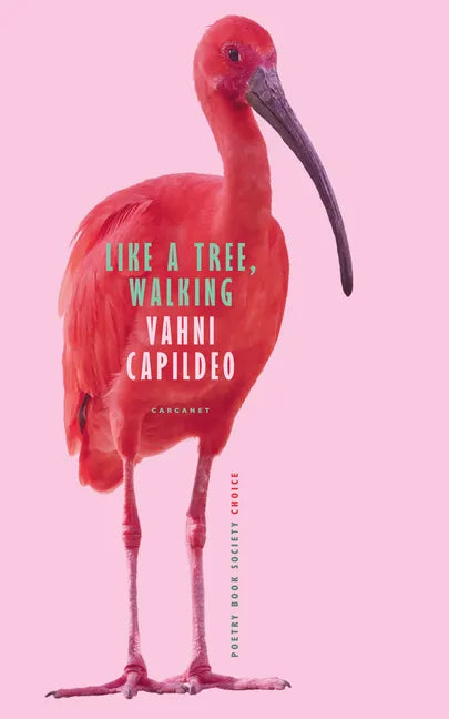 Like a Tree, Walking - Paperback