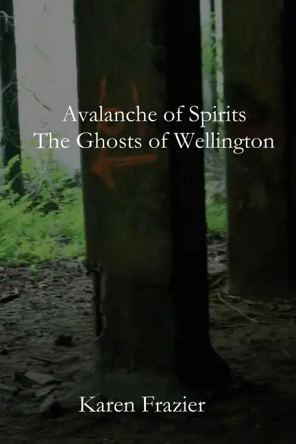 Avalanche of Spirits: The Ghosts of Wellington - Paperback