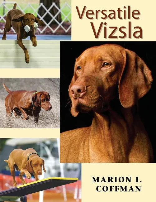 Versatile Vizsla - Paperback
