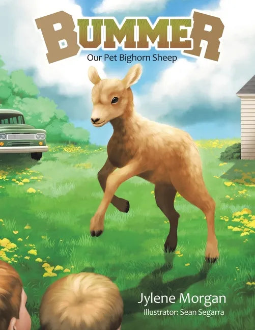 Bummer: Our Pet Bighorn Sheep - Paperback