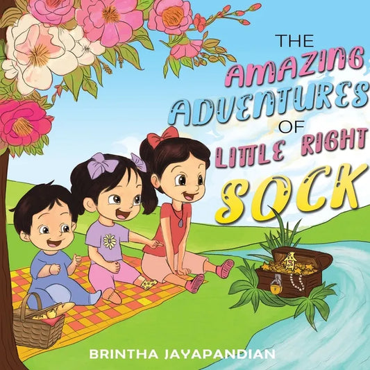 The Amazing Adventures of Little Right Sock - Paperback