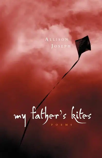 My Father's Kites - Paperback