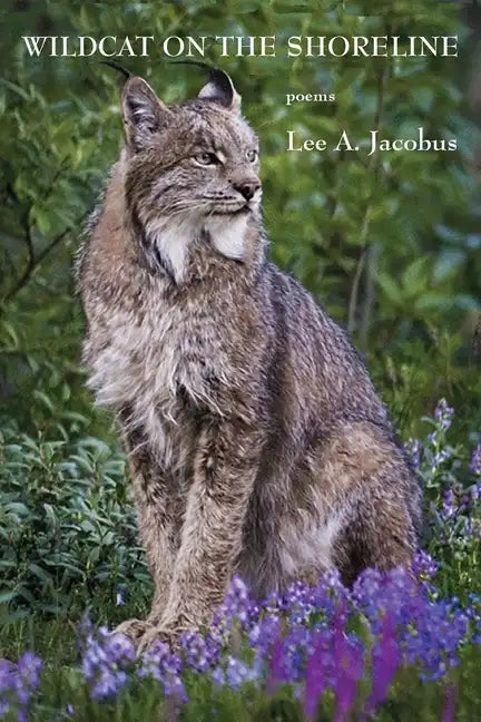 Wildcat on the Shoreline - Paperback