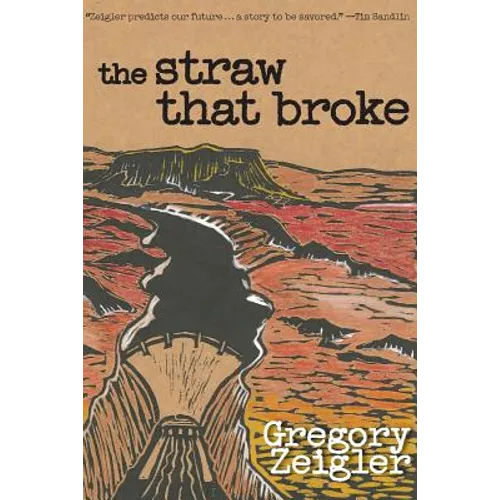 The Straw That Broke - Paperback