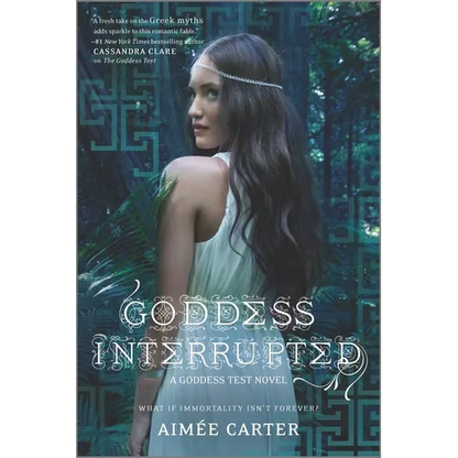 Goddess Interrupted - Paperback