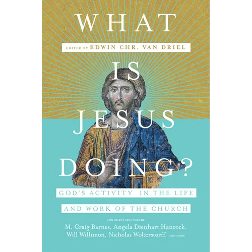 What Is Jesus Doing?: God's Activity in the Life and Work of the Church - Paperback