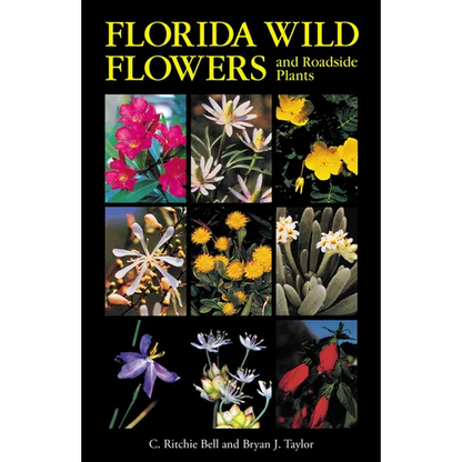 Florida Wild Flowers and Roadside Plants - Paperback