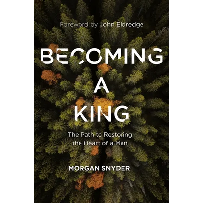 Becoming a King: The Path to Restoring the Heart of a Man - Hardcover