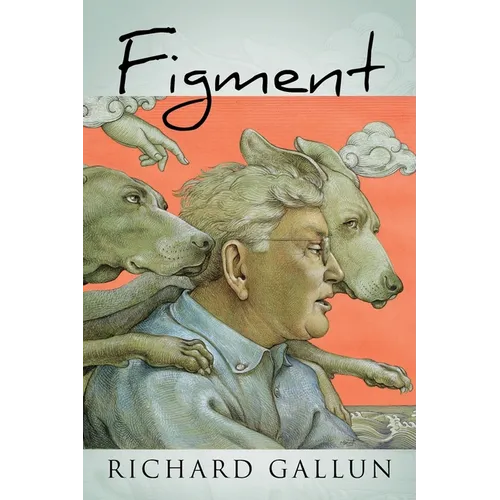 Figment - Hardcover