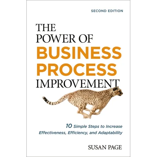 The Power of Business Process Improvement: 10 Simple Steps to Increase Effectiveness, Efficiency, and Adaptability - Paperback