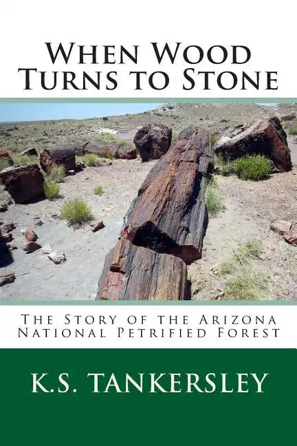 When Wood Turns to Stone: The Story of the Arizona National Petrified Forest - Paperback