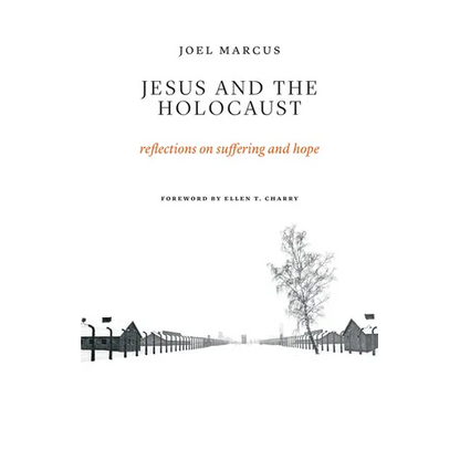 Jesus and the Holocaust: Reflections on Suffering and Hope - Paperback