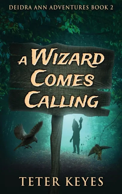 A Wizard Comes Calling - Hardcover