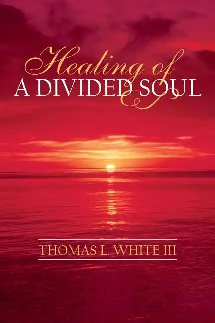 Healing of a Divided Soul - Paperback