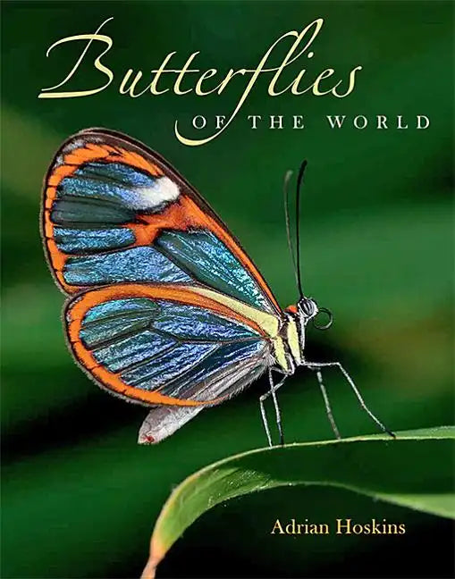 Butterflies of the World - Hardcover