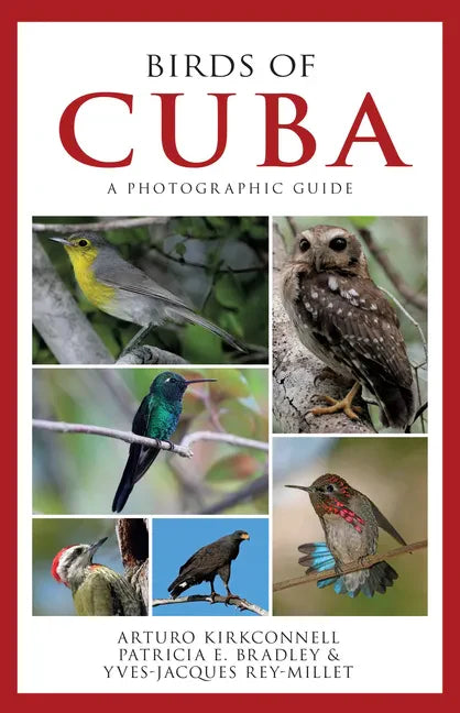 Birds of Cuba: A Photographic Guide - Paperback