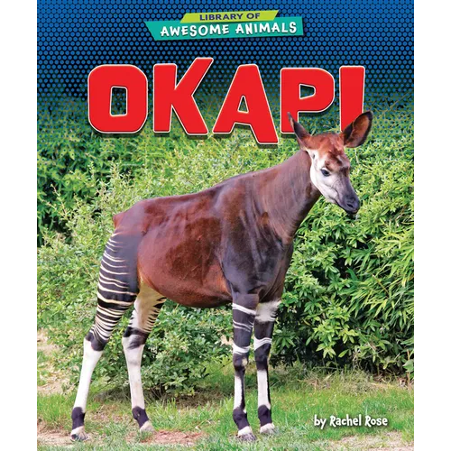 Okapi - Library Binding