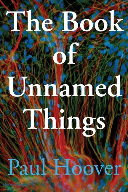 The Book of Unnamed Things - Paperback
