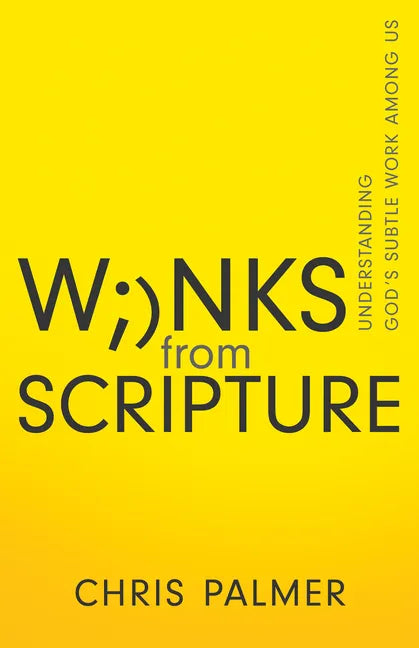 Winks from Scripture: Understanding God's Subtle Work Among Us - Paperback