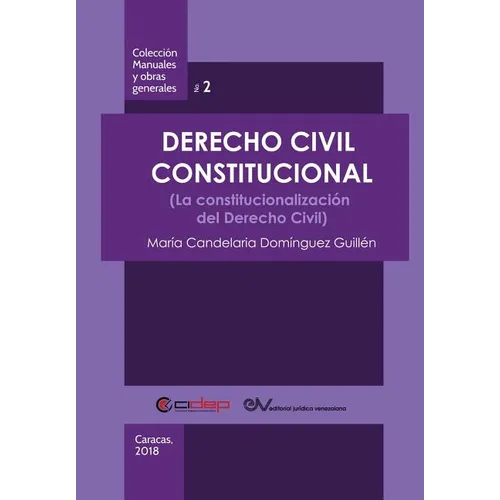 Derecho Civil Constitucional: (La constitucionalización del Derecho Civil) - Paperback