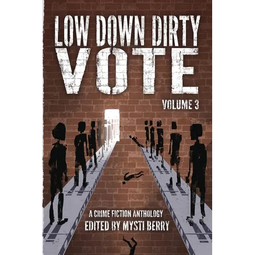 Low Down Dirty Vote Volume 3: The Color of My Vote - Paperback