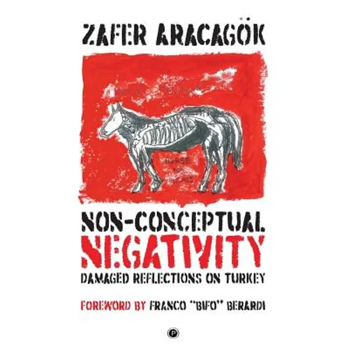 Non-Conceptual Negativity: Damaged Reflections on Turkey - Paperback