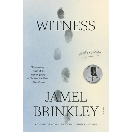 Witness: Stories - Paperback