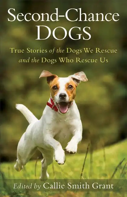 Second-Chance Dogs: True Stories of the Dogs We Rescue and the Dogs Who Rescue Us - Paperback