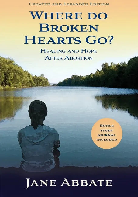 Where Do Broken Hearts Go?: Healing and Hope After Abortion - Paperback