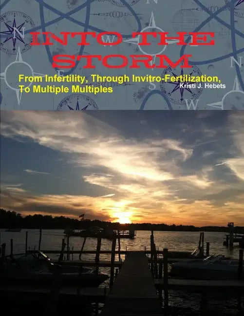 INTO THE STORM From Infertility, Through Invitro-fertilization, To Multiple Multiples - Paperback